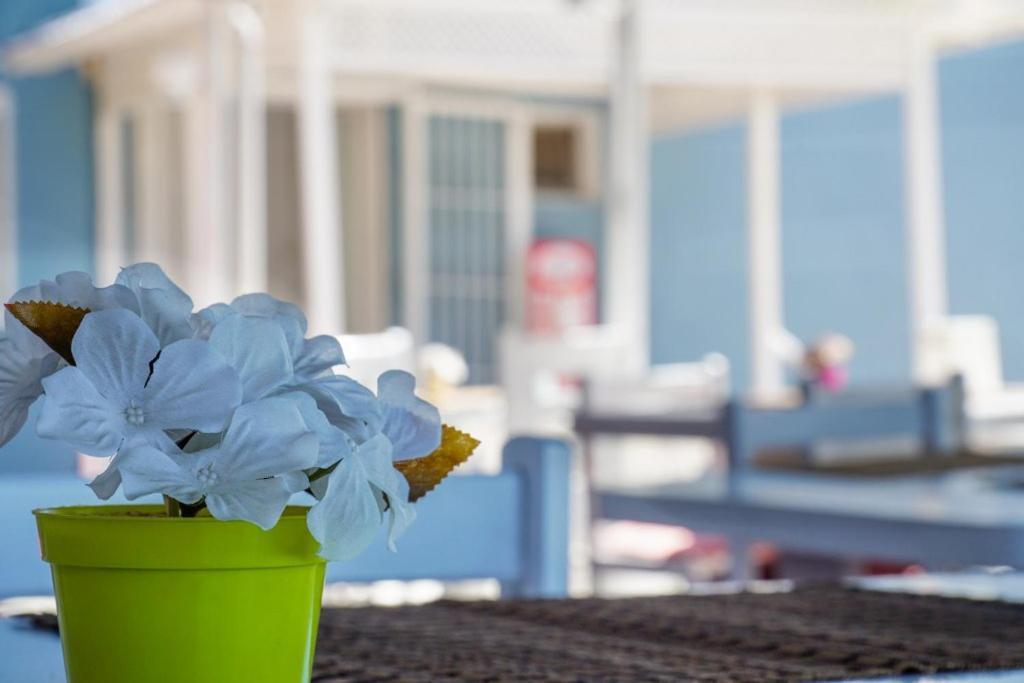 Cesme Minerva Port Hotel Kültér fotó